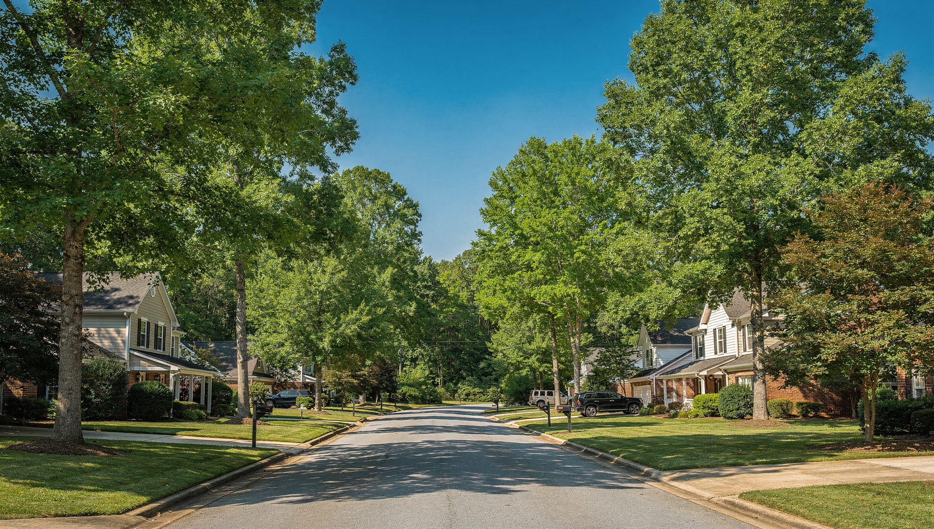 A leafy, sunlit residential street in the Charlotte Piedmont